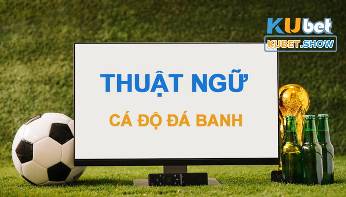 cá độ đá banh phổ biến nhất trong 2024