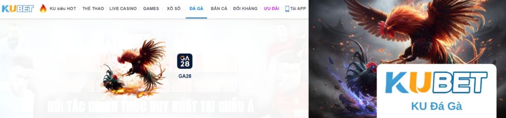 Banner KU Đá Gà với hình gà chọi chiến đấu và logo GA28 trong danh mục đá gà của Kubet